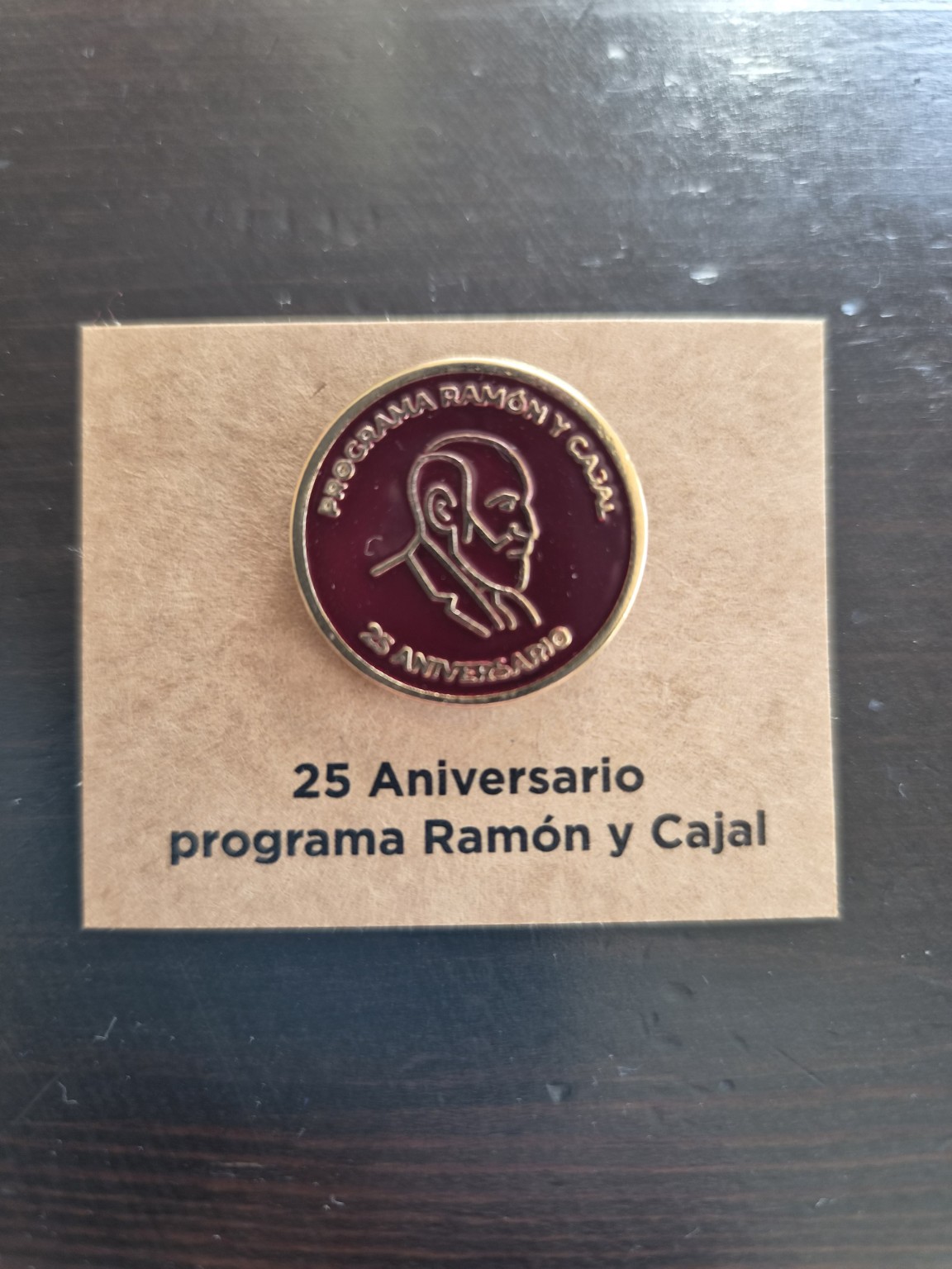 Insignia granate y dorada del 25.º aniversario del programa Ramón y Cajal, recibida por Martín Oller Alonso